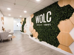 WOLC Ltd 